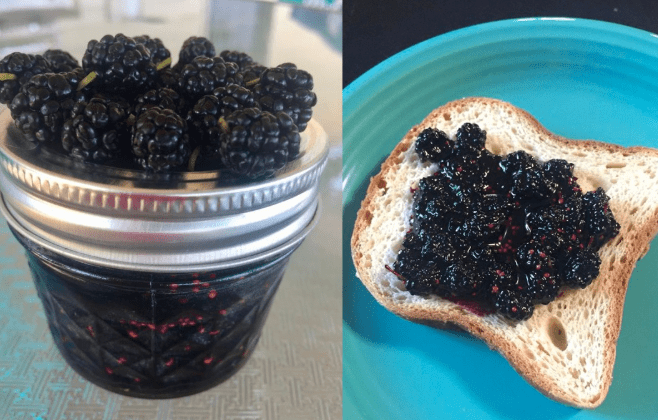 Marmellata di gelsi fatta in casa: una delizia naturale per ogni occasione