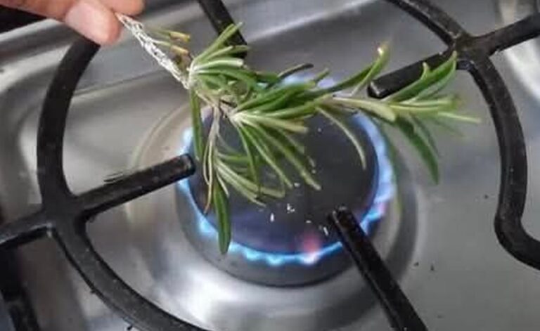 Perché dovresti bruciare un rametto di rosmarino in casa