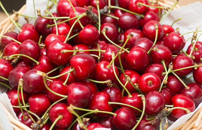 Cosa succede se ingeriamo il nocciolo delle ciliegie: rischi, miti e cosa sapere davvero