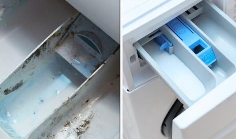 Muffa nel cassetto della lavatrice: perché si forma e come eliminarla