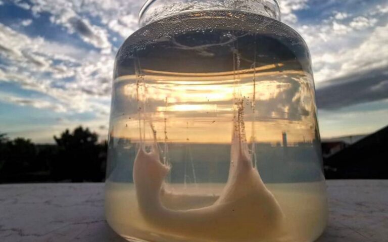 Come si legge la barca di San Pietro nel modo giusto: simboli, forme e interpretazioni