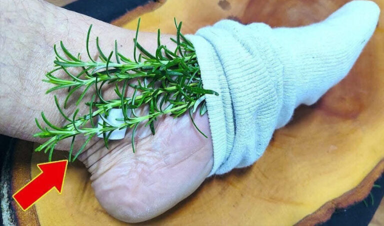 Smettete di sprecare soldi in farmacia! Il rosmarino risolve questi problemi comuni…