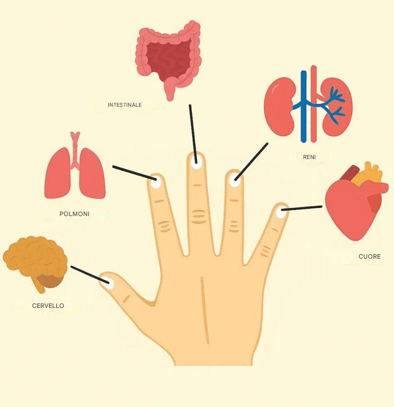 Jin Shin Jyutsu: L'Antica Arte Giapponese del Benessere Attraverso le Mani