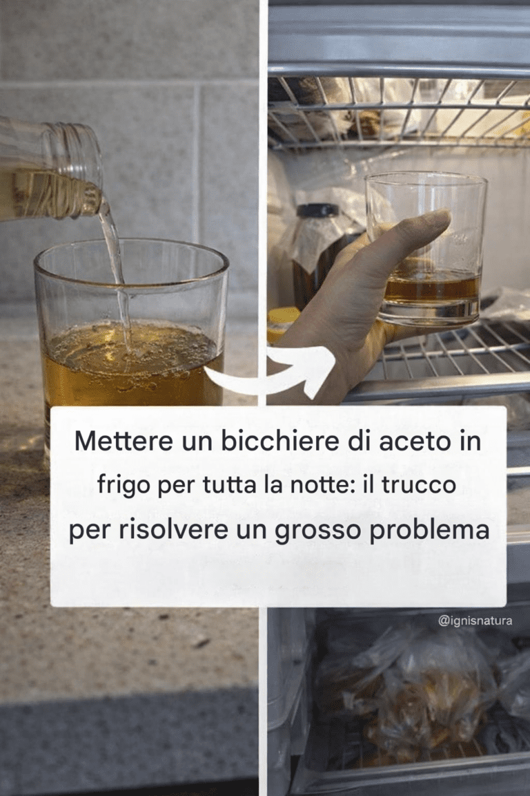 Benefici di mettere un bicchiere di aceto in frigorifero durante la notte