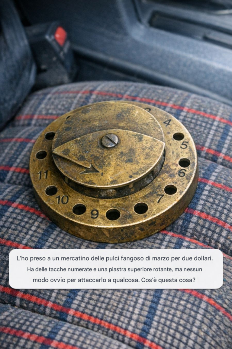 L'ho trovato a un mercatino delle pulci di marzo, in una giornata fangosa, per due dollari. Cos'è questa cosa?