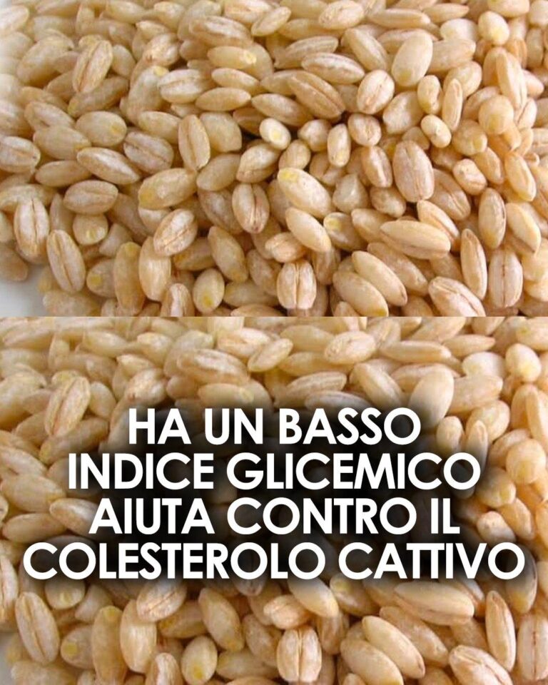 Alla scoperta delle proprietà dell’orzo, uno dei cereali più ricchi di storia e di virtù